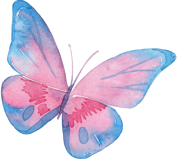Watercolor butterfly in pink and blue