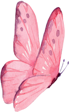 Watercolor Illustration Of The Pink Butterfly